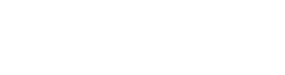 DYNAMIK Logo